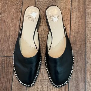 Circa Joan and David CJBetty slides